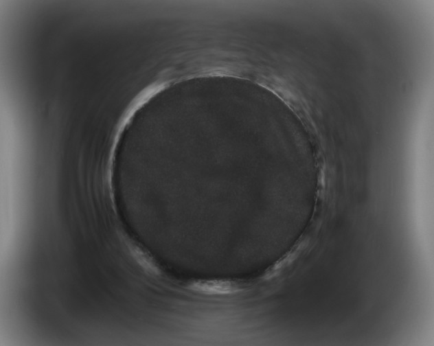 X0000086260104200704191912