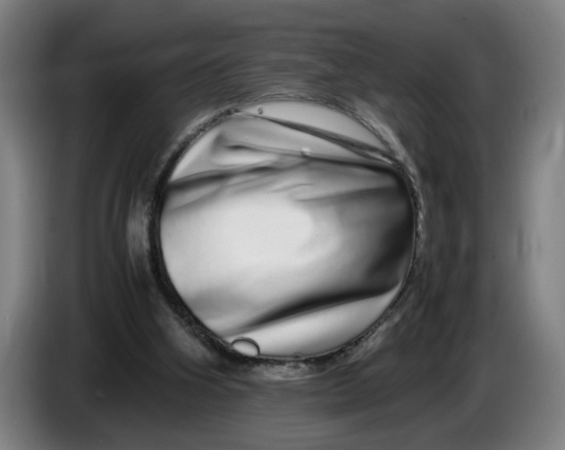 X0000086260106200704191912
