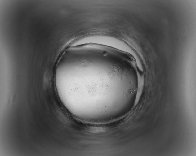 X0000086260107200704191912