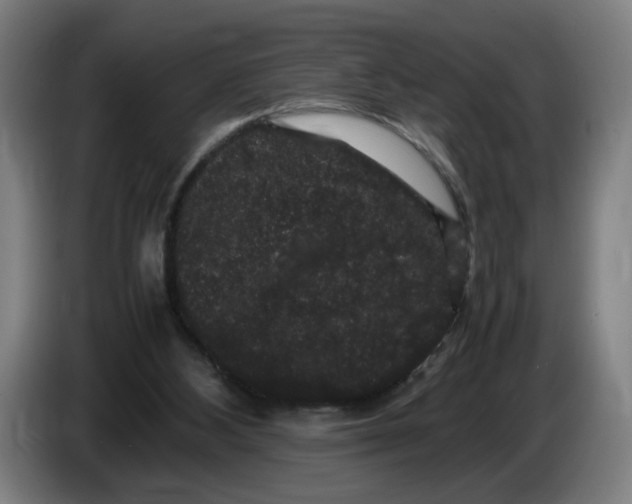 X0000086260108200704191912