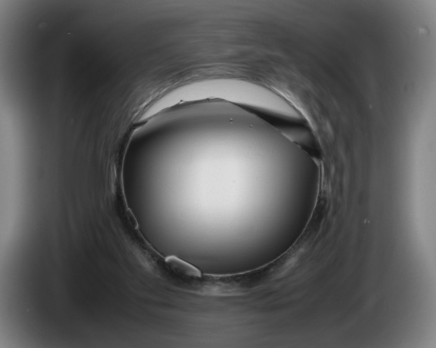 X0000086260109200704191912
