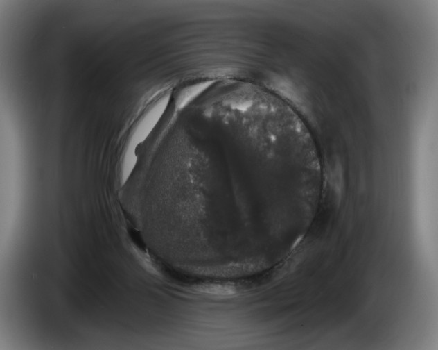 X0000086260110200704191912