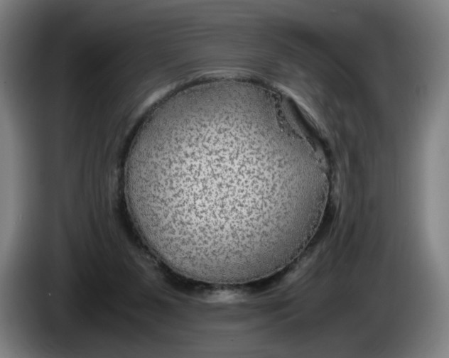 X0000086260111200704191912
