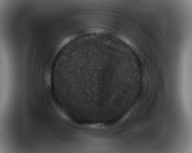 X0000086260112200704191912