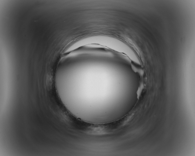 X0000086260113200704191912