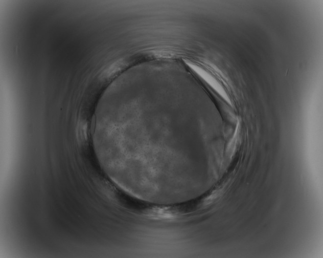 X0000086260117200704191912