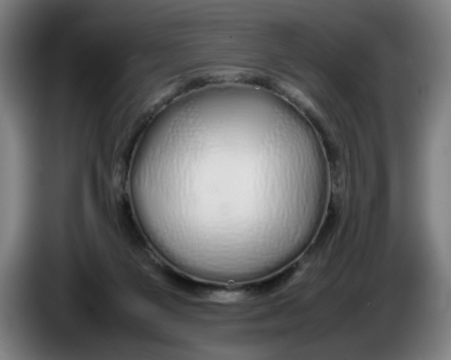 X0000086260119200704191912