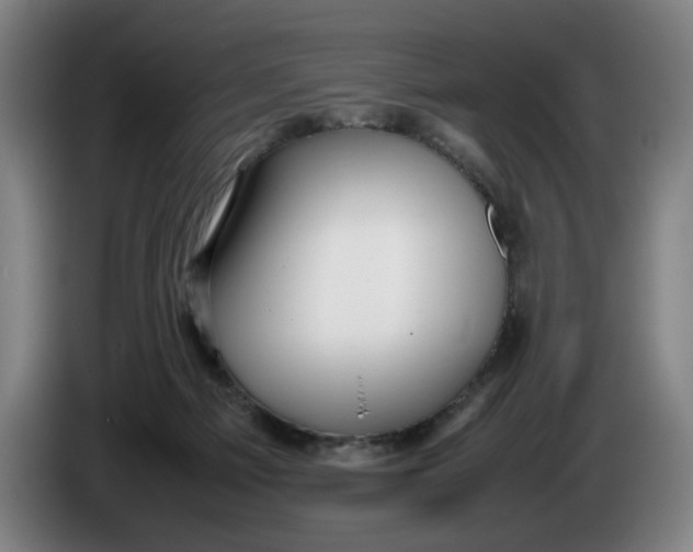 X0000086260121200704191912