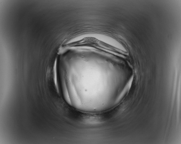 X0000086260123200704191912