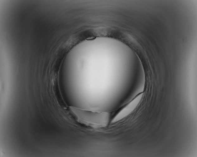 X0000086260125200704191912