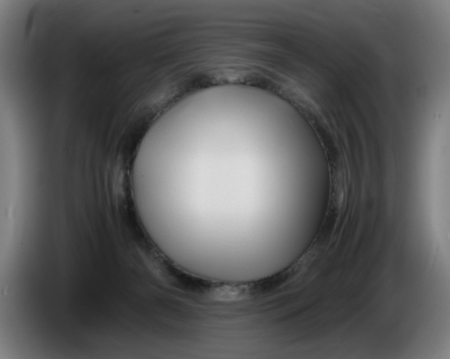 X0000086260126200704191912