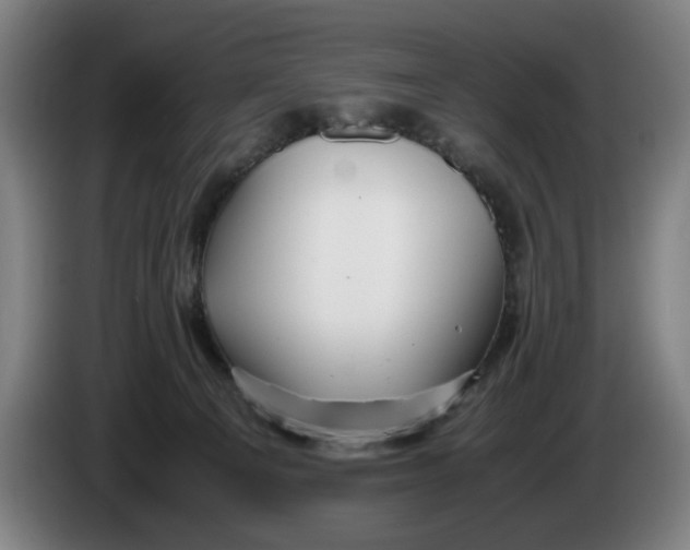 X0000086260129200704191912
