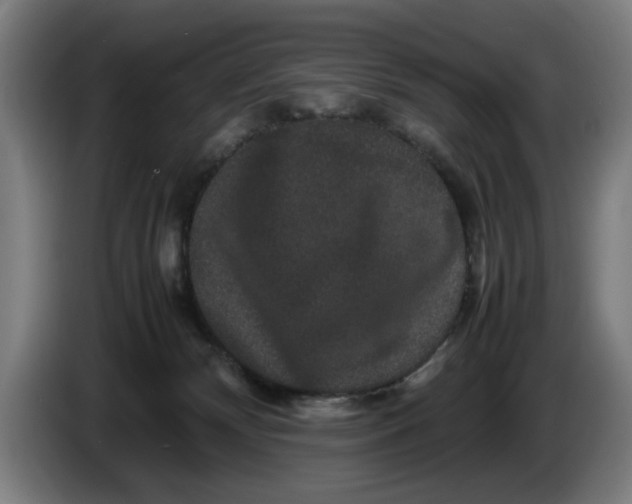 X0000086260132200704191912