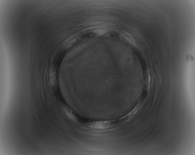 X0000086260136200704191911