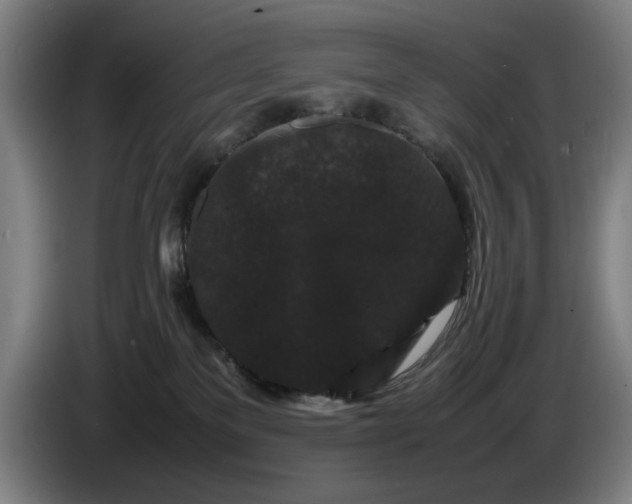 X0000086260137200704191911
