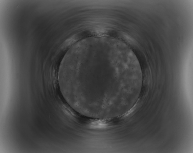 X0000086260140200704191911