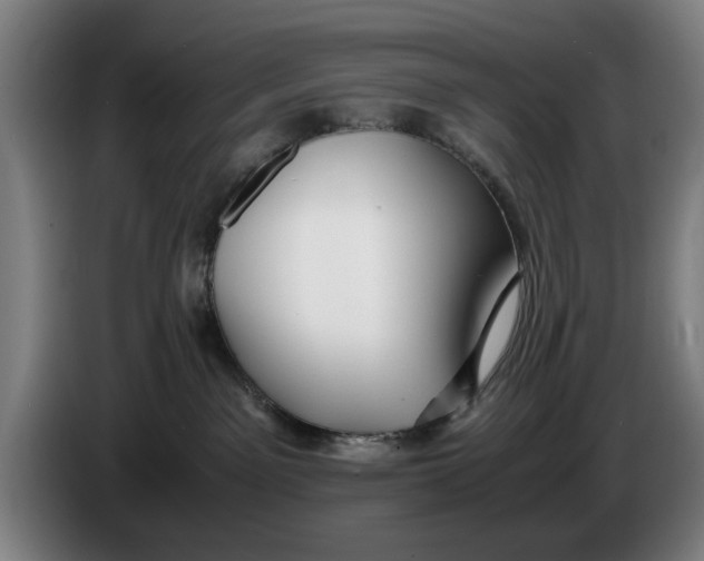 X0000086260141200704191911