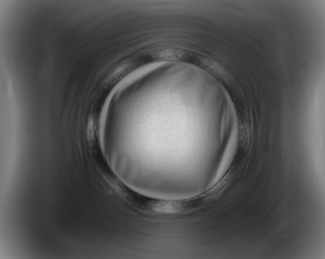 X0000086260142200704191911