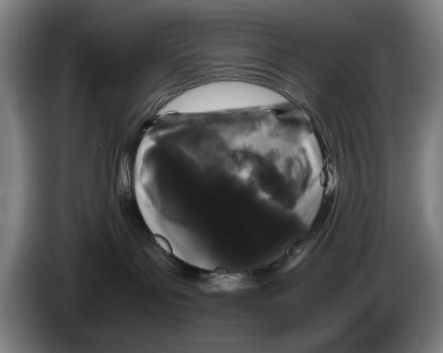 X0000086260143200704191911