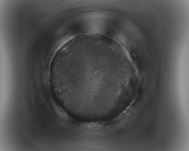X0000086260146200704191911