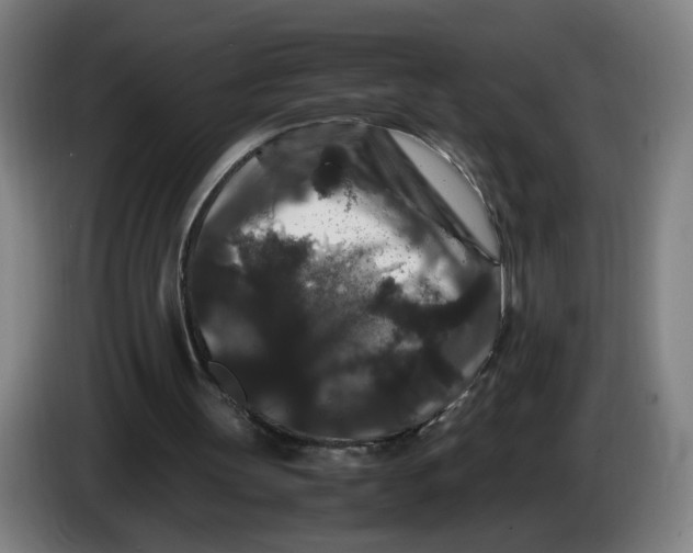 X0000086260147200704191911