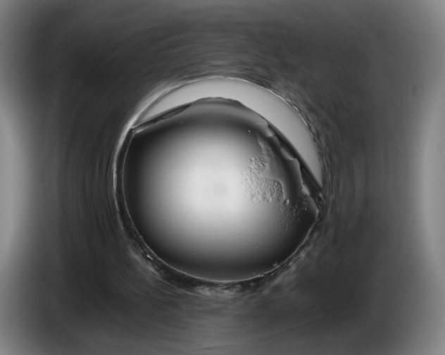 X0000086260148200704191911