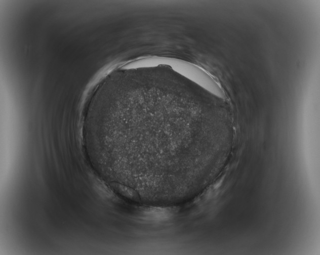 X0000086260149200704191911
