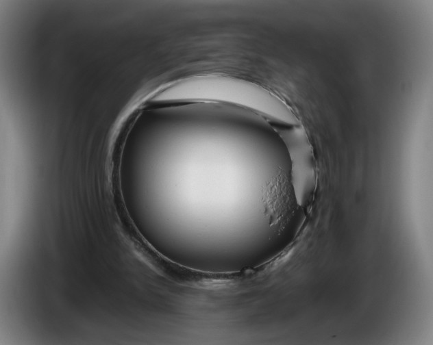 X0000086260150200704191911