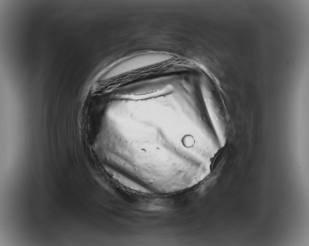 X0000086260151200704191911