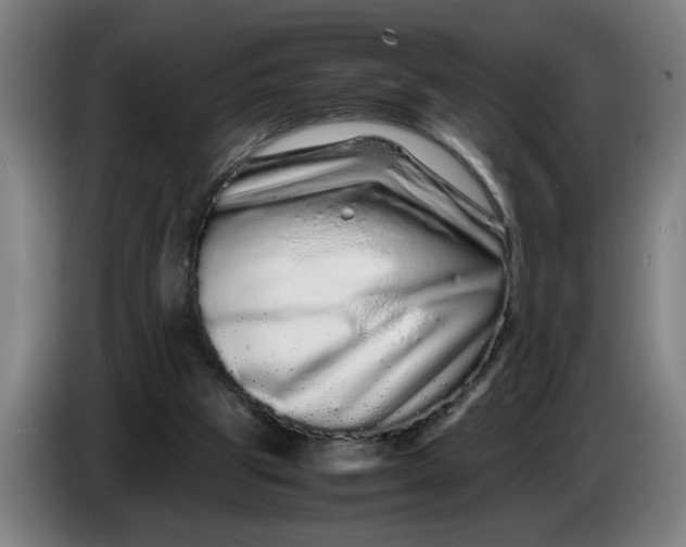 X0000086260153200704191911