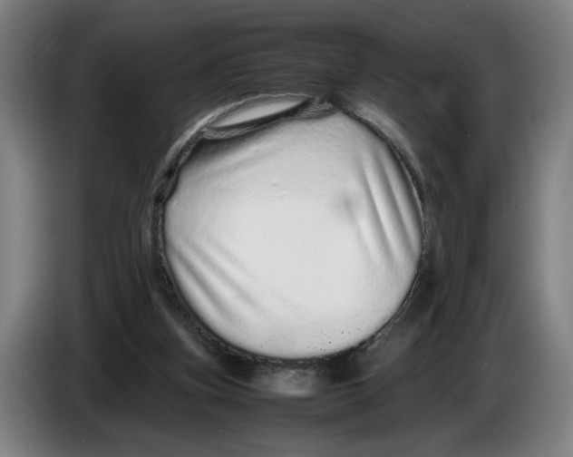 X0000086260155200704191911