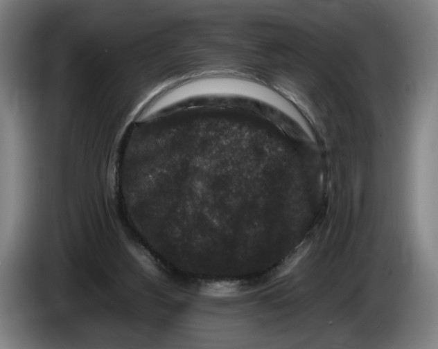 X0000086260156200704191911