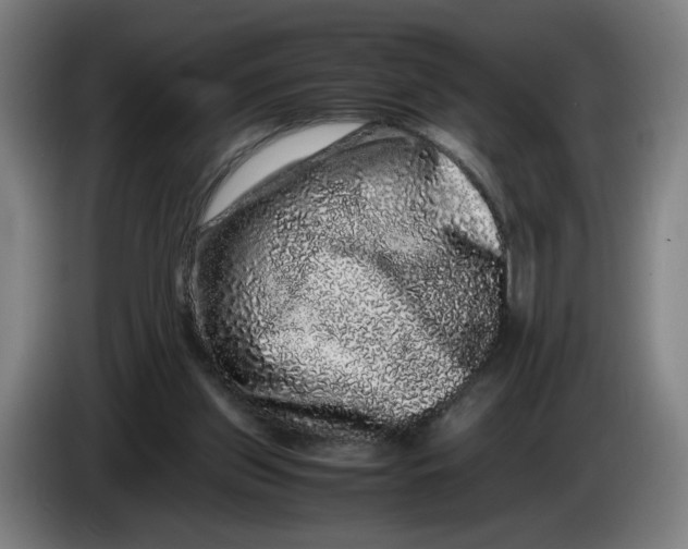 X0000086260157200704191911