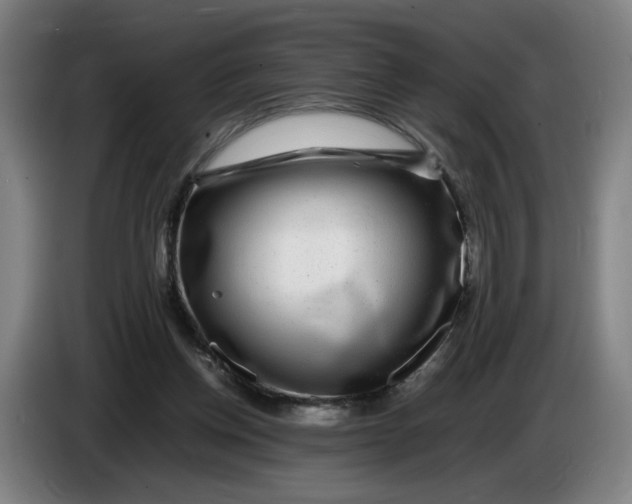 X0000086260158200704191911
