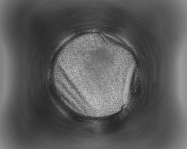 X0000086260159200704191911