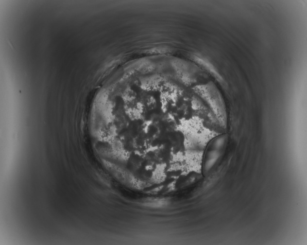 X0000086260161200704191911