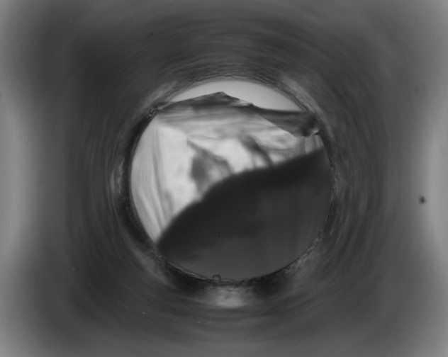 X0000086260163200704191911