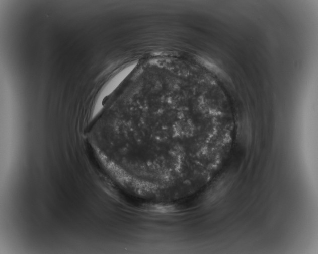 X0000086260165200704191911
