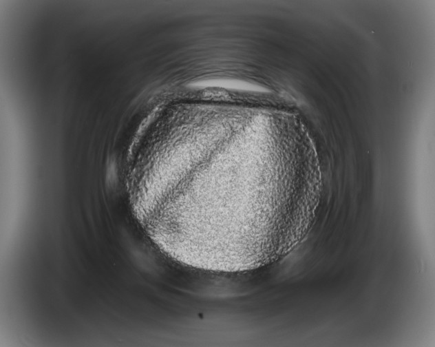 X0000086260166200704191911