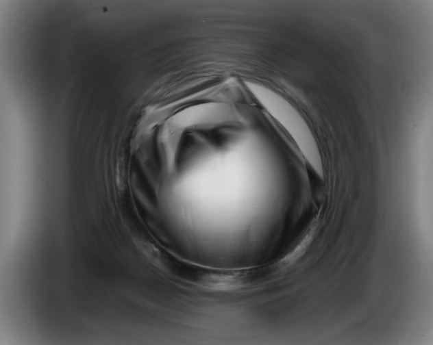 X0000086260170200704191911