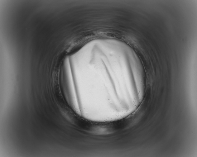 X0000086260171200704191911