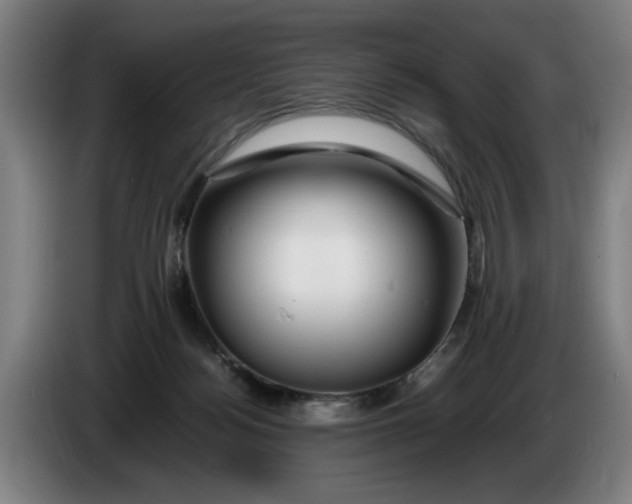 X0000086260172200704191911