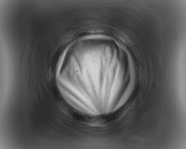 X0000086260173200704191911