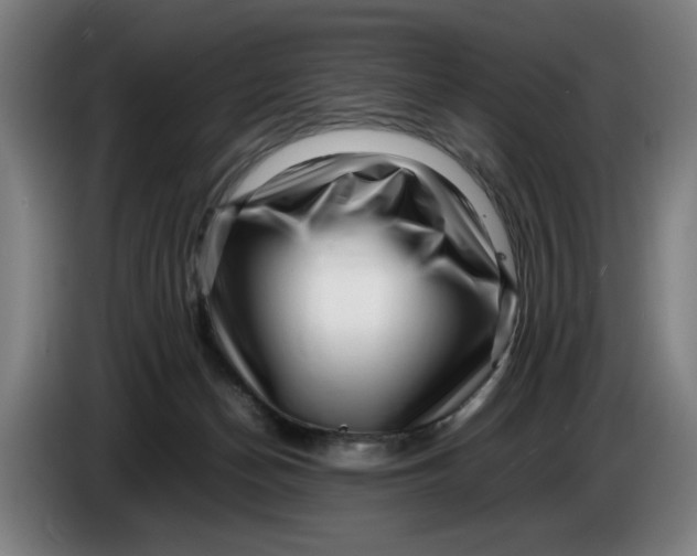 X0000086260174200704191911
