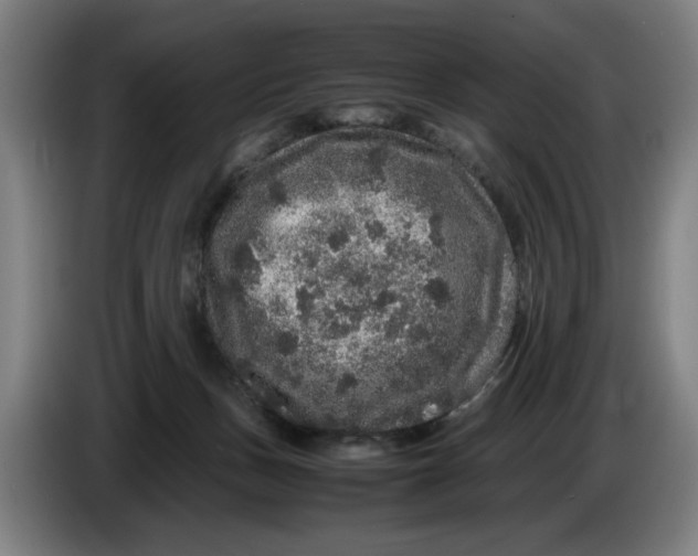 X0000086260175200704191911