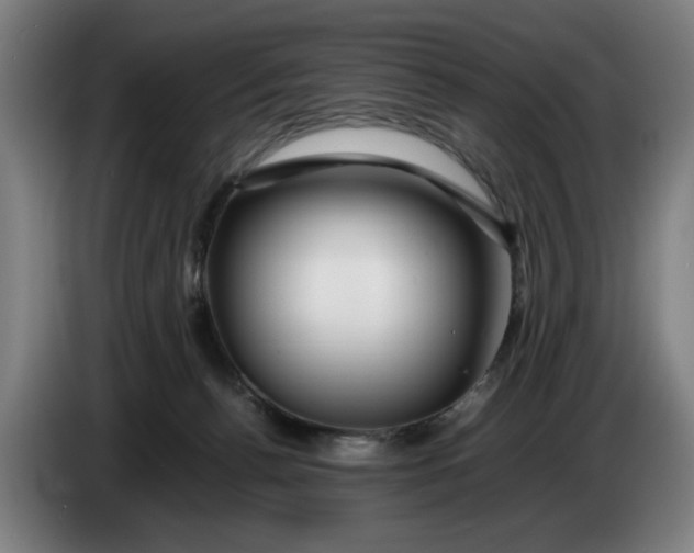 X0000086260176200704191911