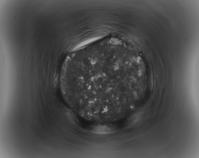 X0000086260177200704191911