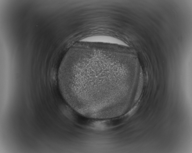 X0000086260178200704191911