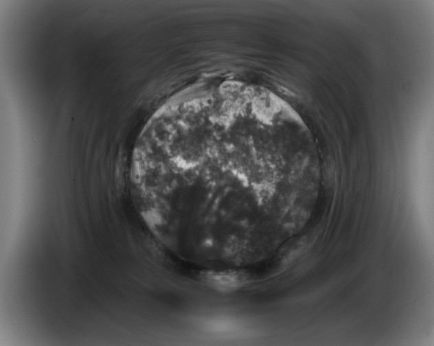 X0000086260181200704191911
