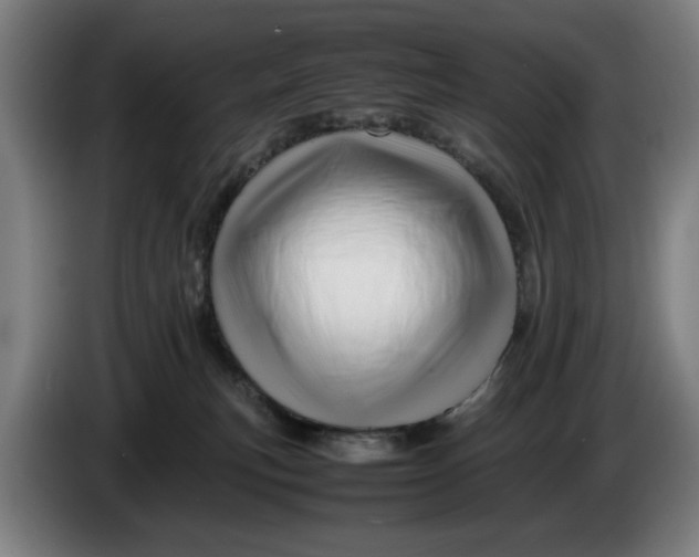 X0000086260183200704191911